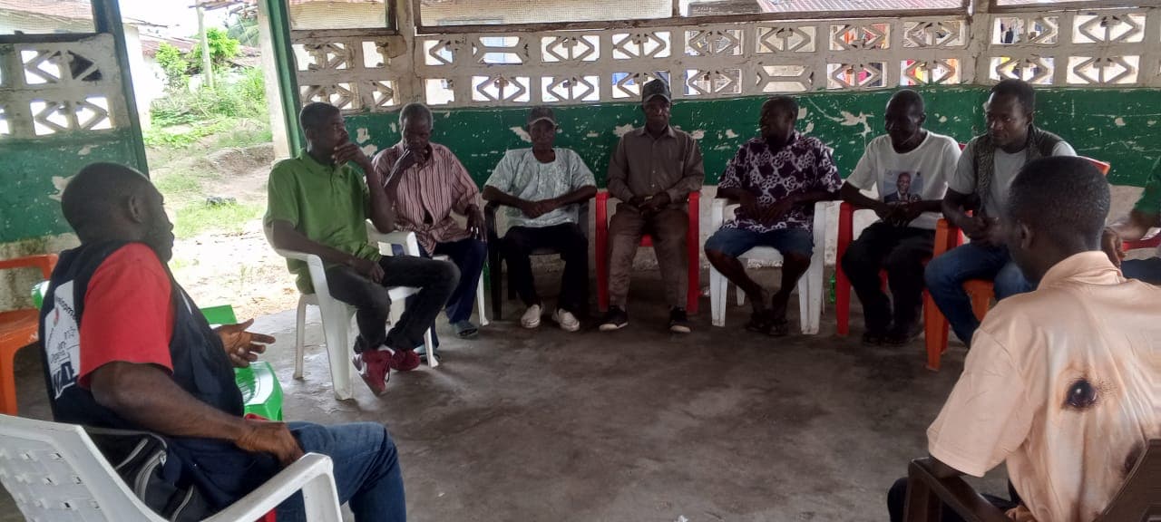 Peacebuilding - Image 5